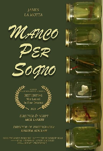 Manco per sogno