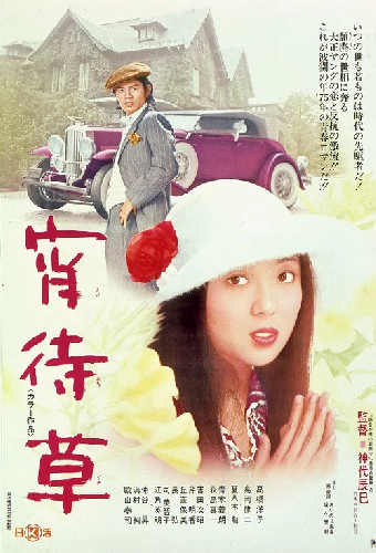 宵待草