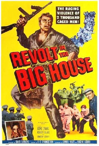 Revolt in the Big House