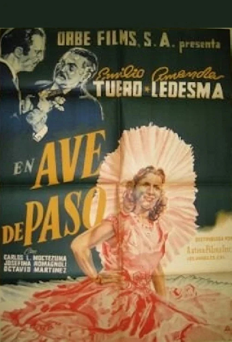 Ave de paso