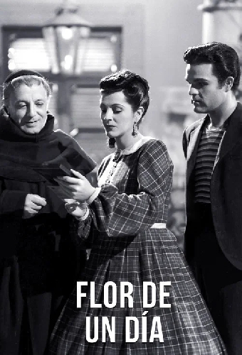 Flor de un día