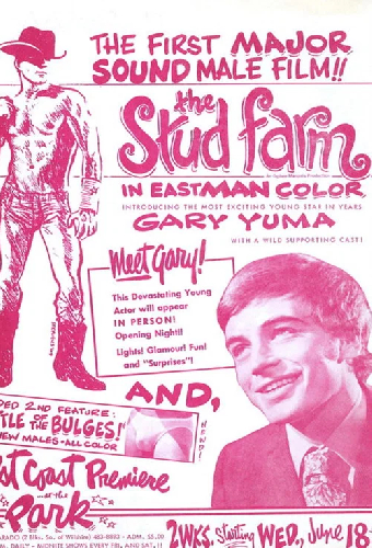 The Stud Farm