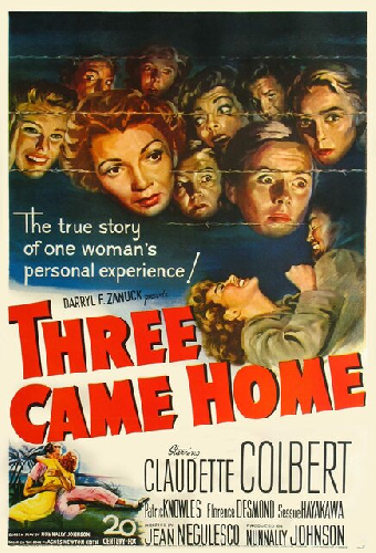 Three Came Home
