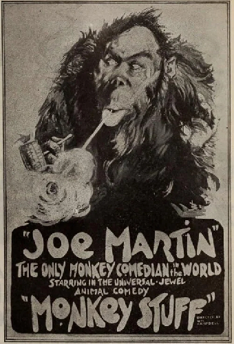 Monkey Stuff