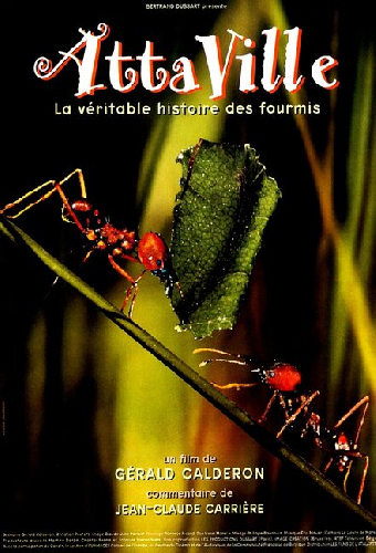 Attaville, la véritable histoire des fourmis