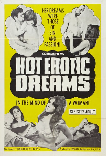 Hot Erotic Dreams