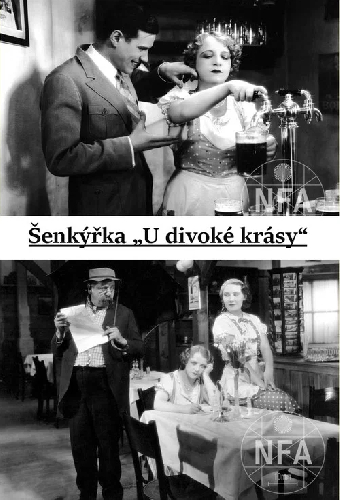 Официантка «У диковатой красотки»