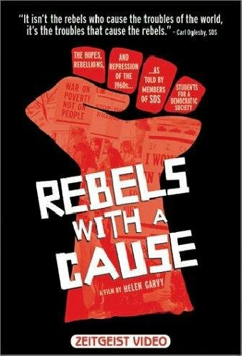 Rebels with a Cause