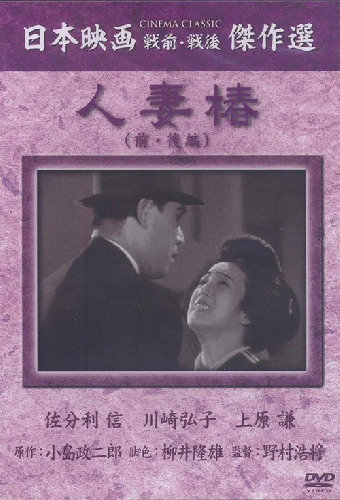 人妻椿