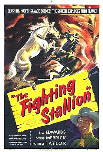 The Fighting Stallion