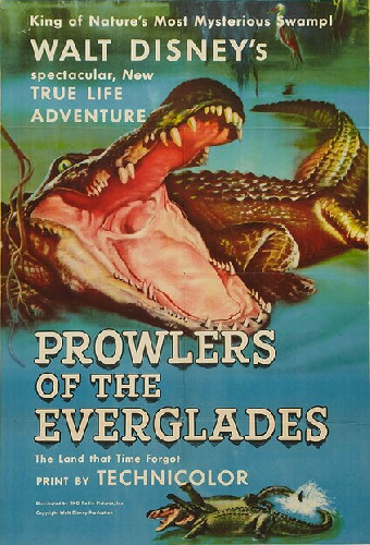Prowlers of the Everglades