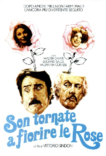 Son tornate a fiorire le rose