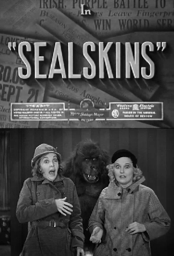 Sealskins