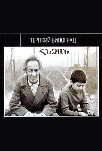 Терпкий виноград