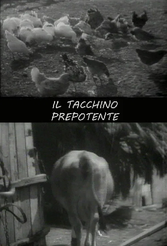 Il tacchino prepotente