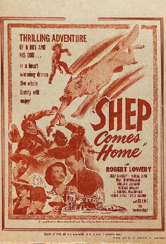 Shep Comes Home