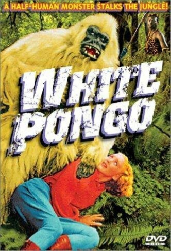 White Pongo