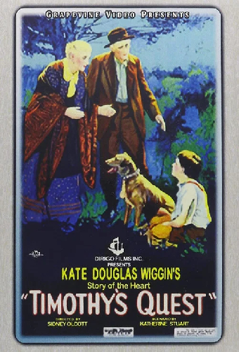 Timothy's Quest