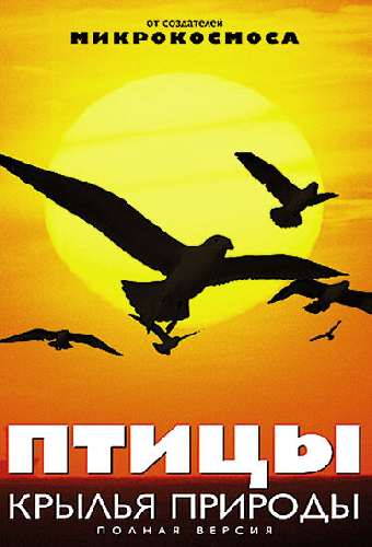 Птицы: Крылья природы