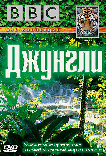 BBC: Джунгли