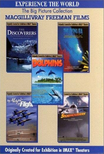 Dolphins: The Ride