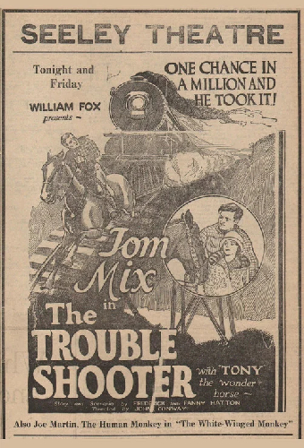 The Trouble Shooter