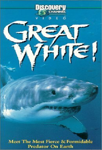 Great White