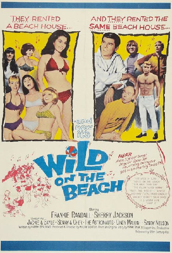 Wild on the Beach