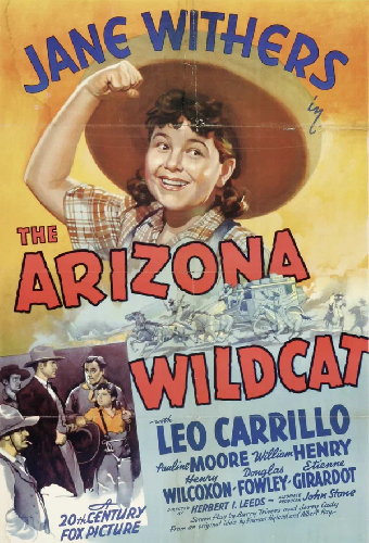 The Arizona Wildcat