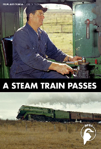A Steam Train Passes