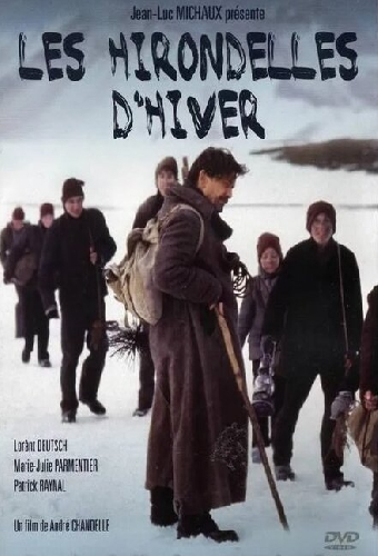 Les hirondelles d'hiver