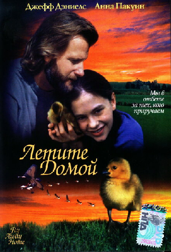 Летите домой