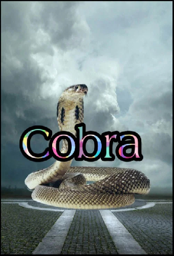 Cobra