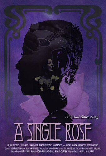 A Single Rose