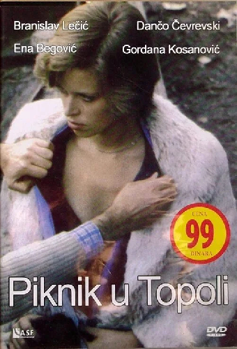 Пикник в Тополе