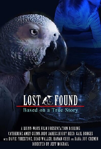 48 hour Lost & Found (2020 IV)