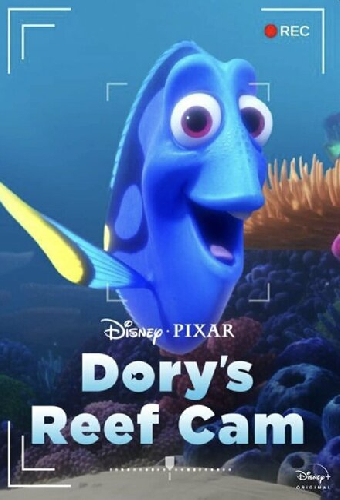 Dory's Reef Cam