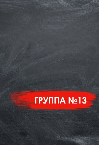 Группа №13