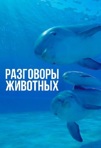 Разговоры животных