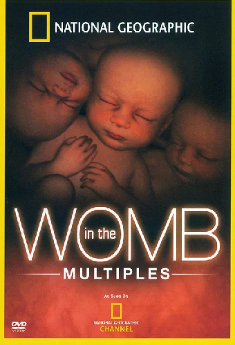 In the Womb: Multiples