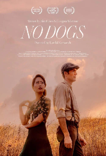 No Dogs