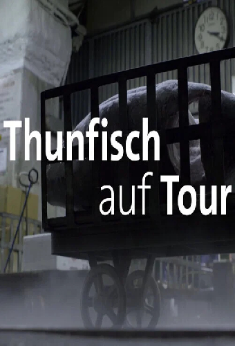 Thunfisch auf Tour