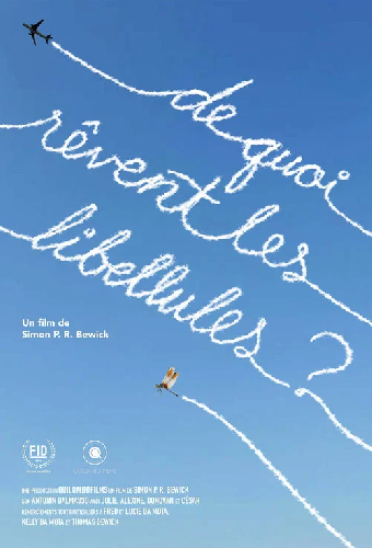 De quoi rêvent les libellules?