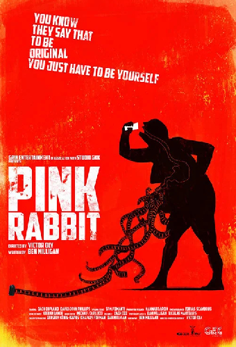 Pink Rabbit