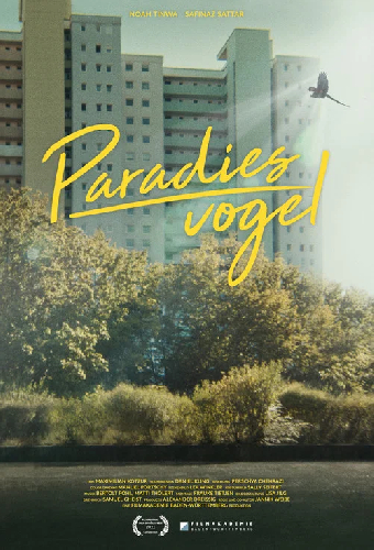 Paradiesvogel