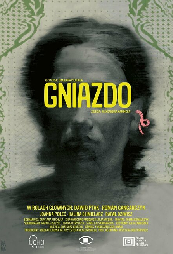 Gniazdo