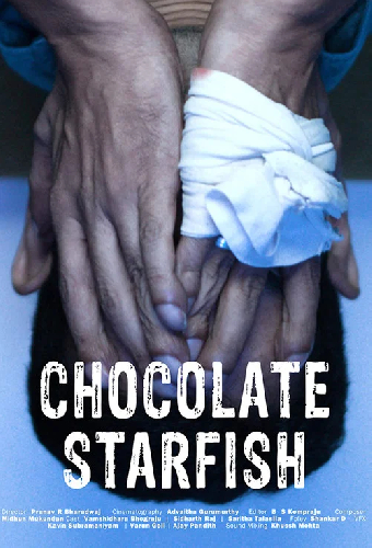 Chocolate Starfish