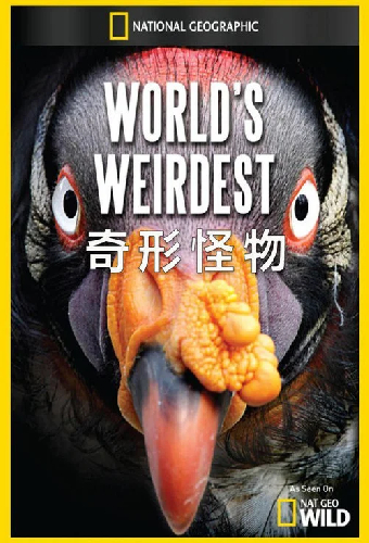 World's Weirdest