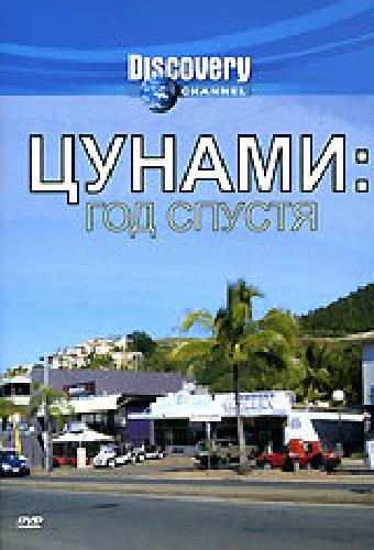 Цунами: Год спустя