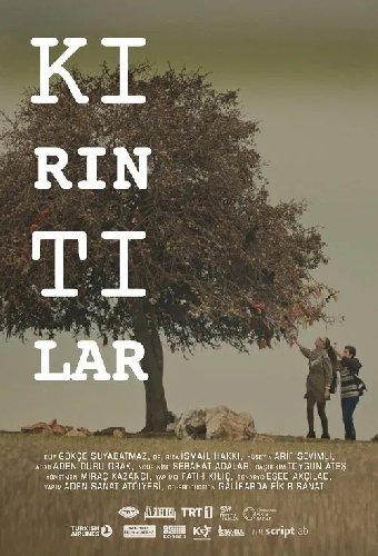 Kırıntılar
